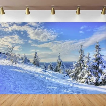 Božič Fotografija Ozadje Za Zimske Scene Banner Plakat Zimska Pokrajina Gozd, Ledu in Snegu Svetu Temo Ozadja