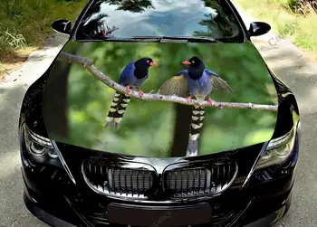 magpie živali Avto kapuco, nalepke pvc nalepke, grafično zaviti decals grafični motorja nalepke, primeren za večino vozil