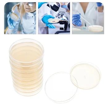 Prepoured Agar Plošče petrijevkah s Agar Znanost Eksperiment znanstveni Projekti Petri Plošče Laboratorijski Material