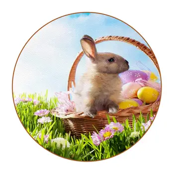 Velikonočna Jajca s Smešno Zajček Zajec je Uho na Kmečko Modra Lesena Okrogla Železnica Pijačo Coasters Pokal Coasters za Namizni Soba Dekor